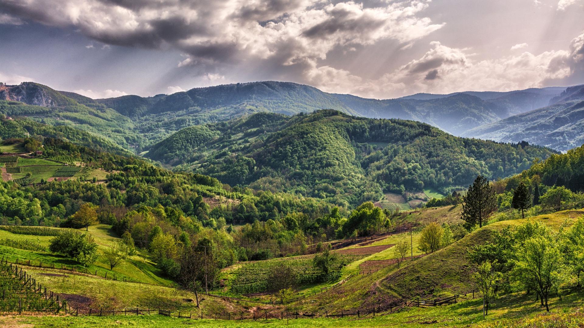 bajina-bauta-zlatibor-serbiia-les-gory-polia-derevia-zelen-s